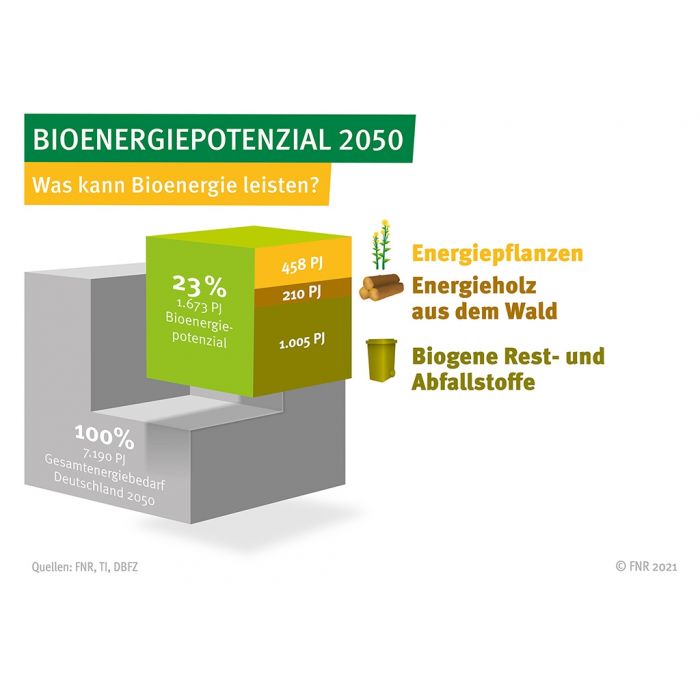 Was kann Bioenergie leisten?